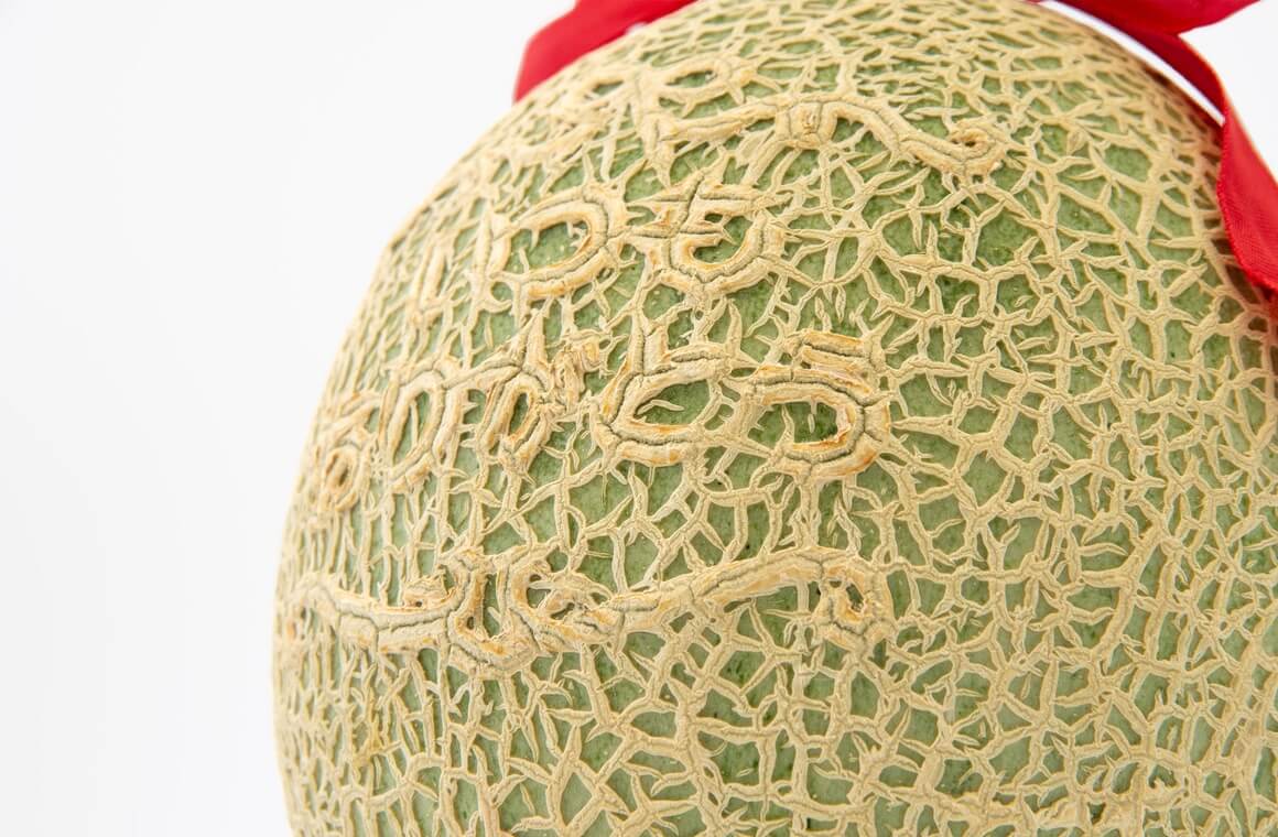 メロンレター拡大写真