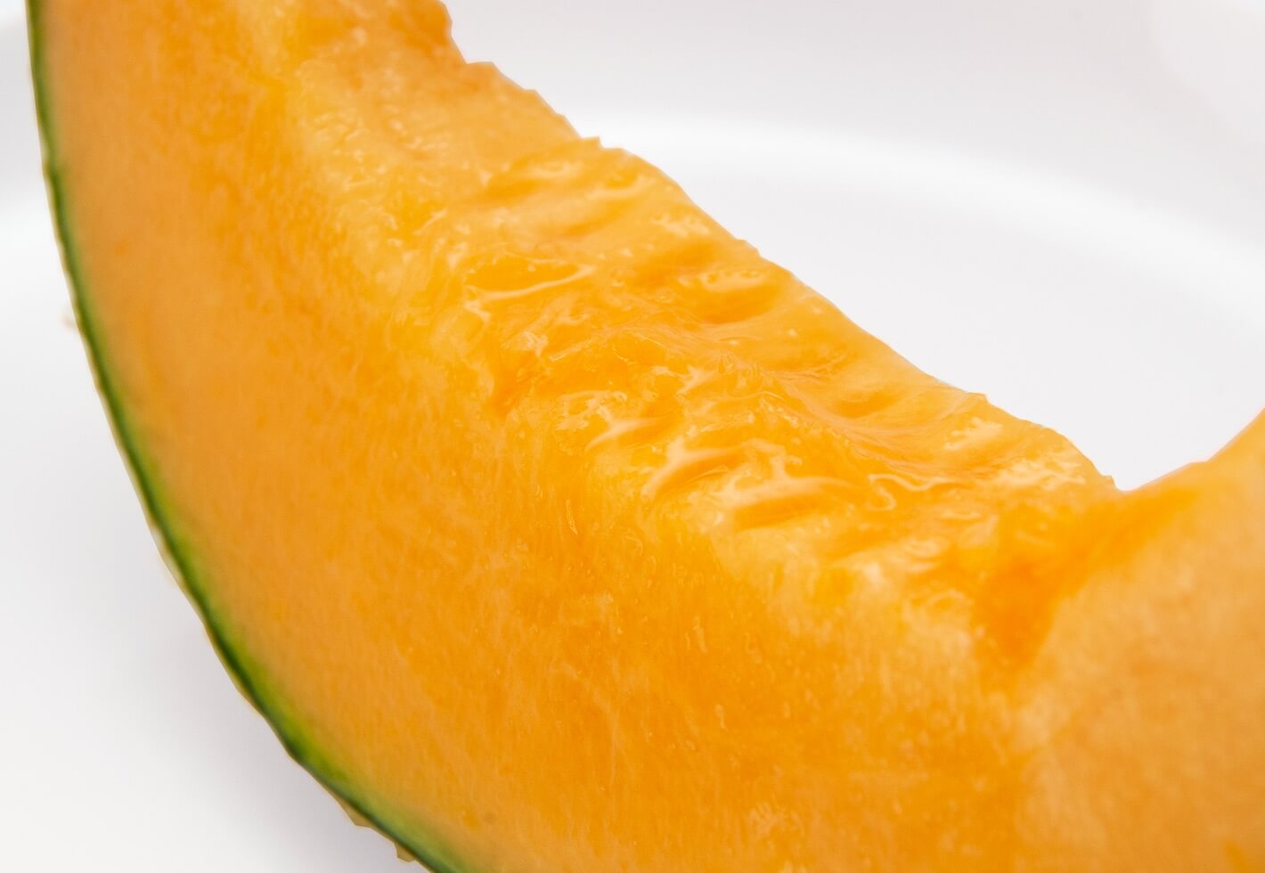 メロンレター 断面